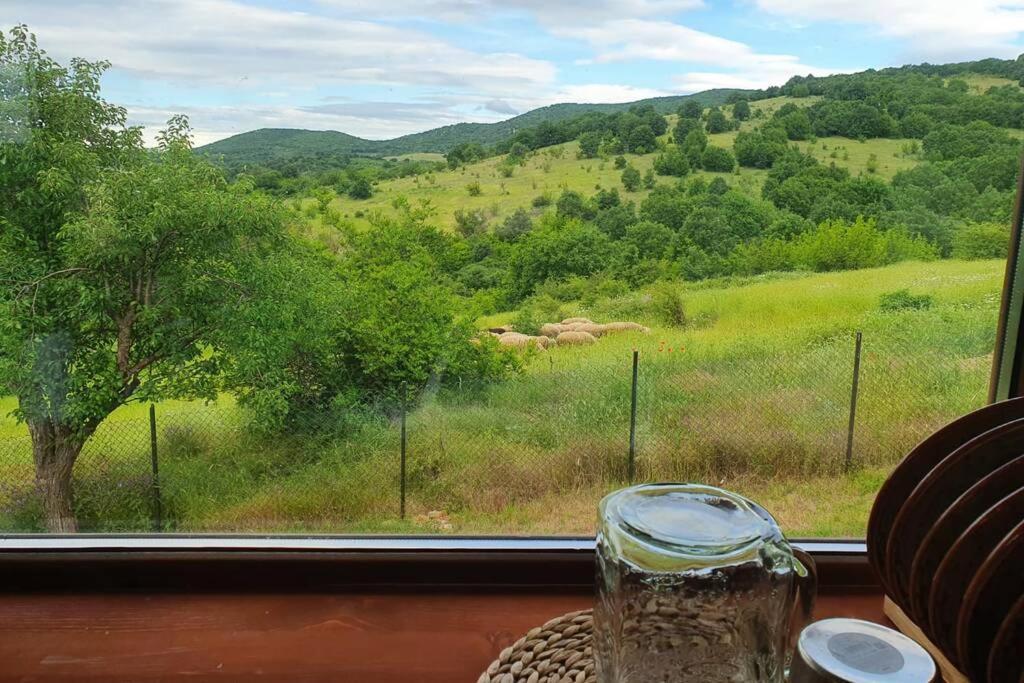 Luxury Villa Bella Lyaskovo Village Екстер'єр фото